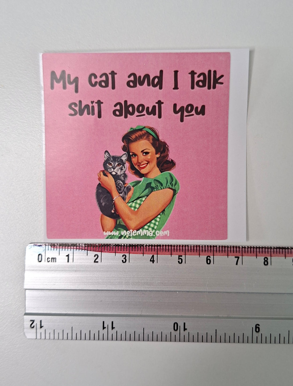 The "Partner In Crime Cat" Sticker