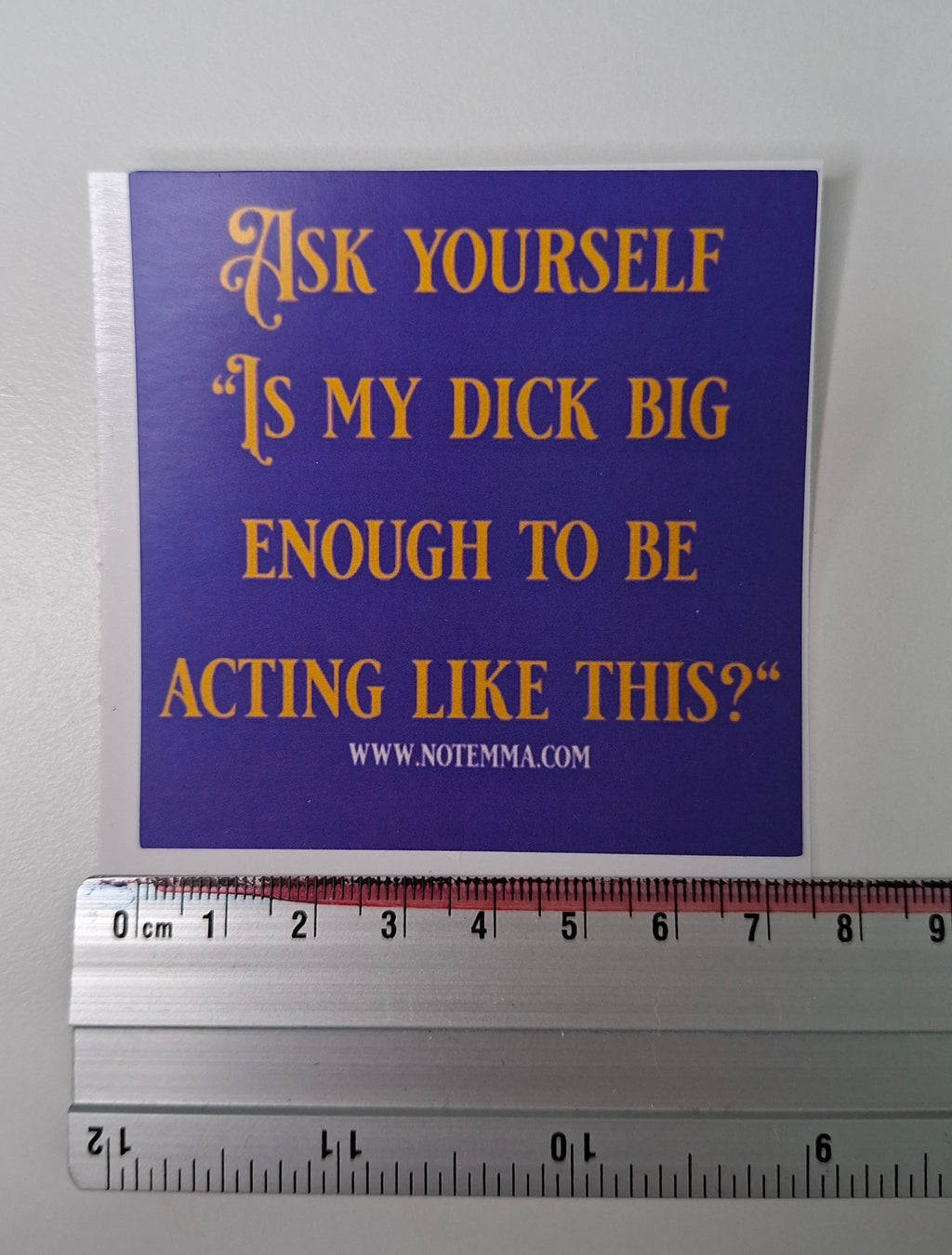 The "Audit The Ego" Sticker
