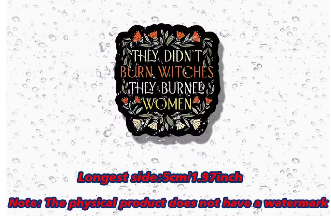 They didnt burn witches - sticker