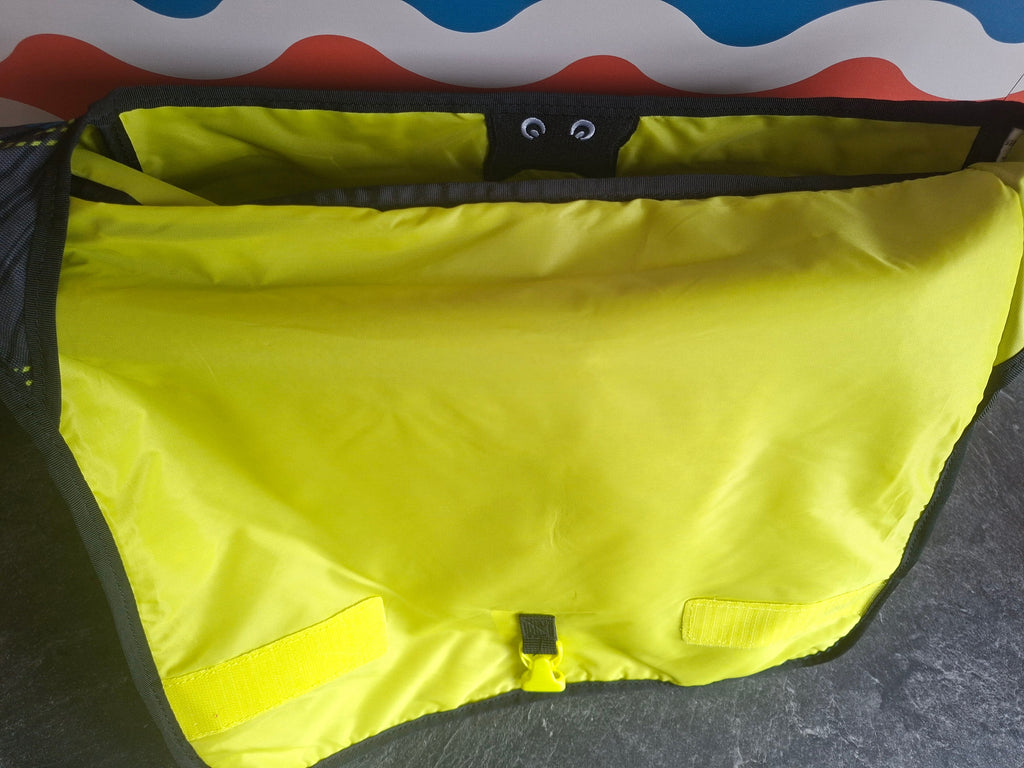 The 'Astral Kitty' messenger bag