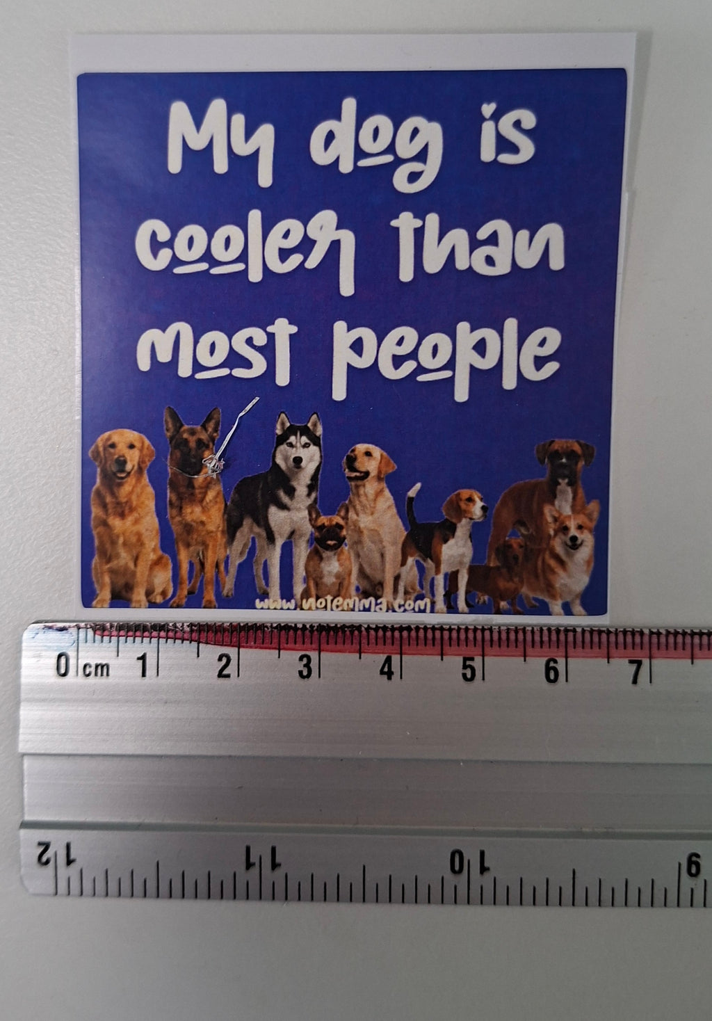 The "Canine Superiority" Sticker