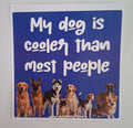 The "Canine Superiority" Sticker