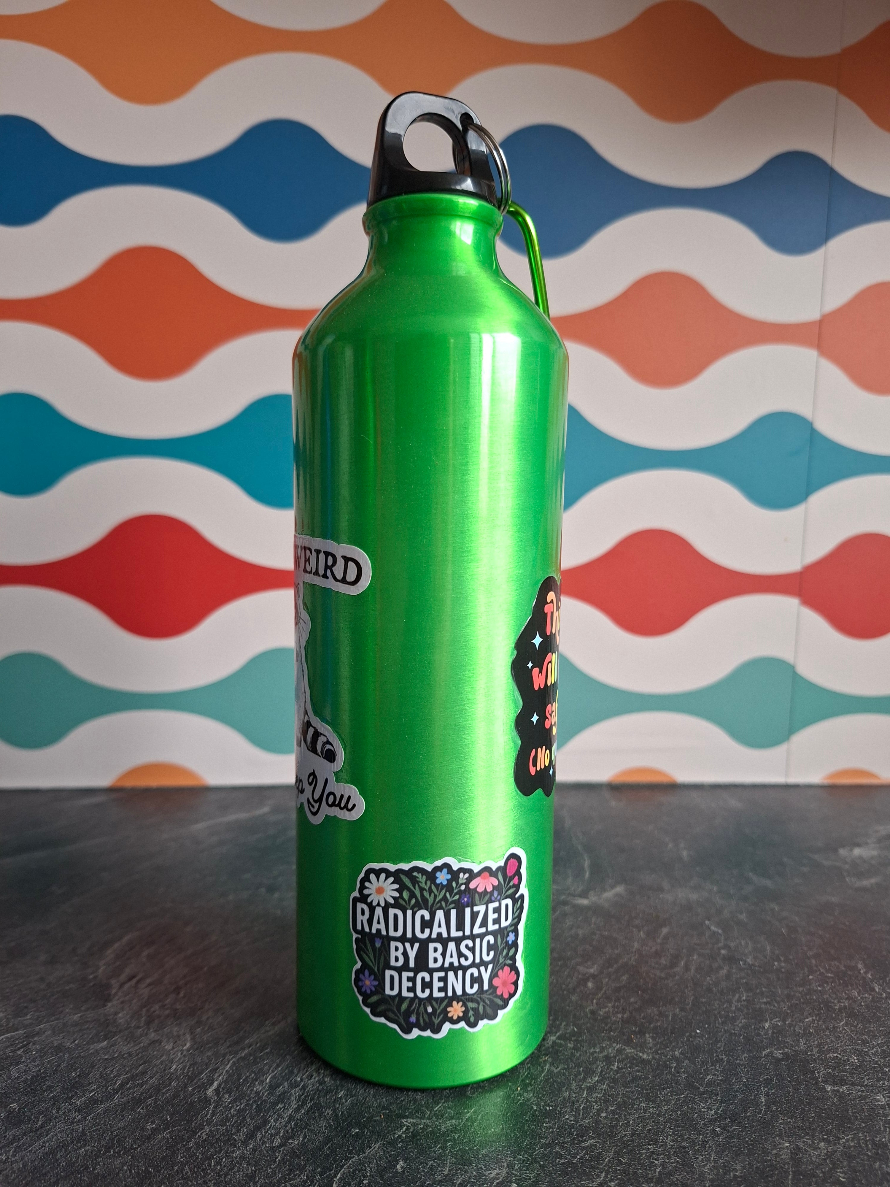 The "Safe Haven" water bottle 800ml