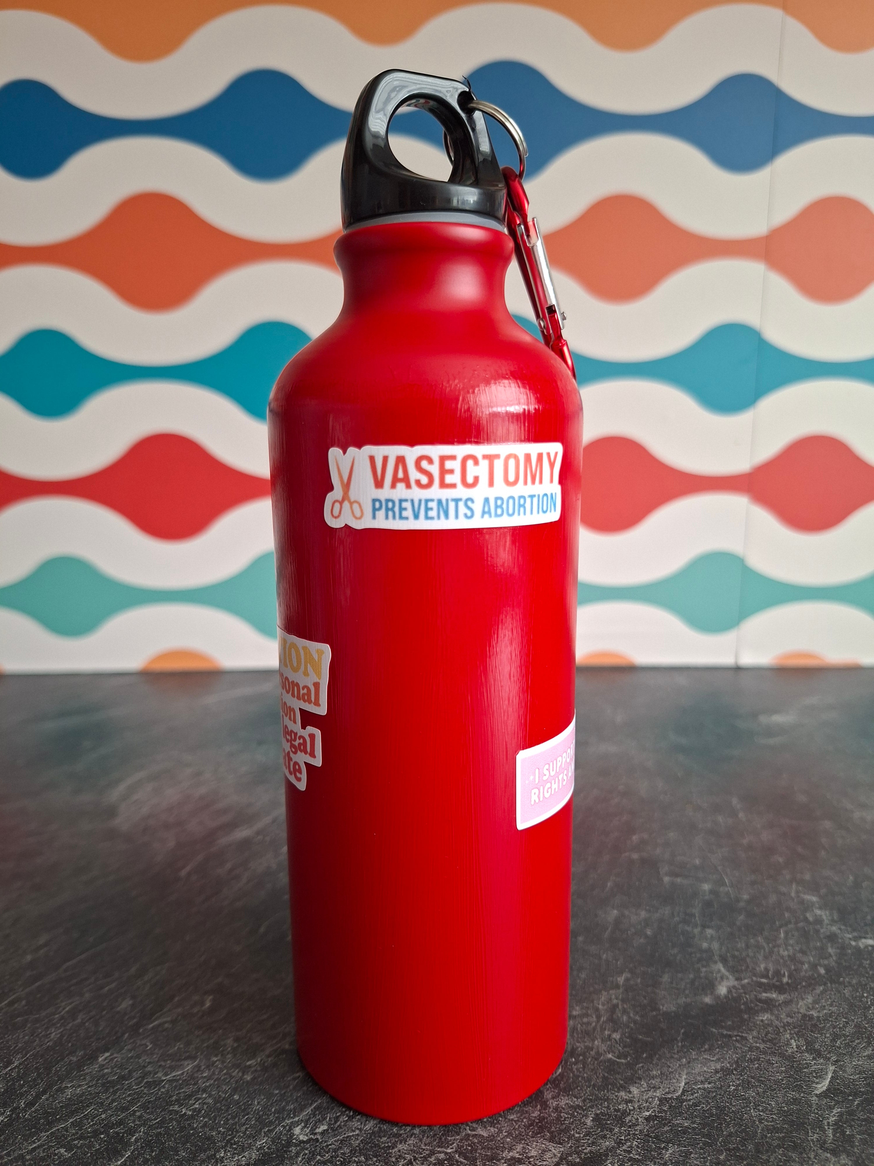 The 'Bold Rebel Women's Rights' water bottle  540ml