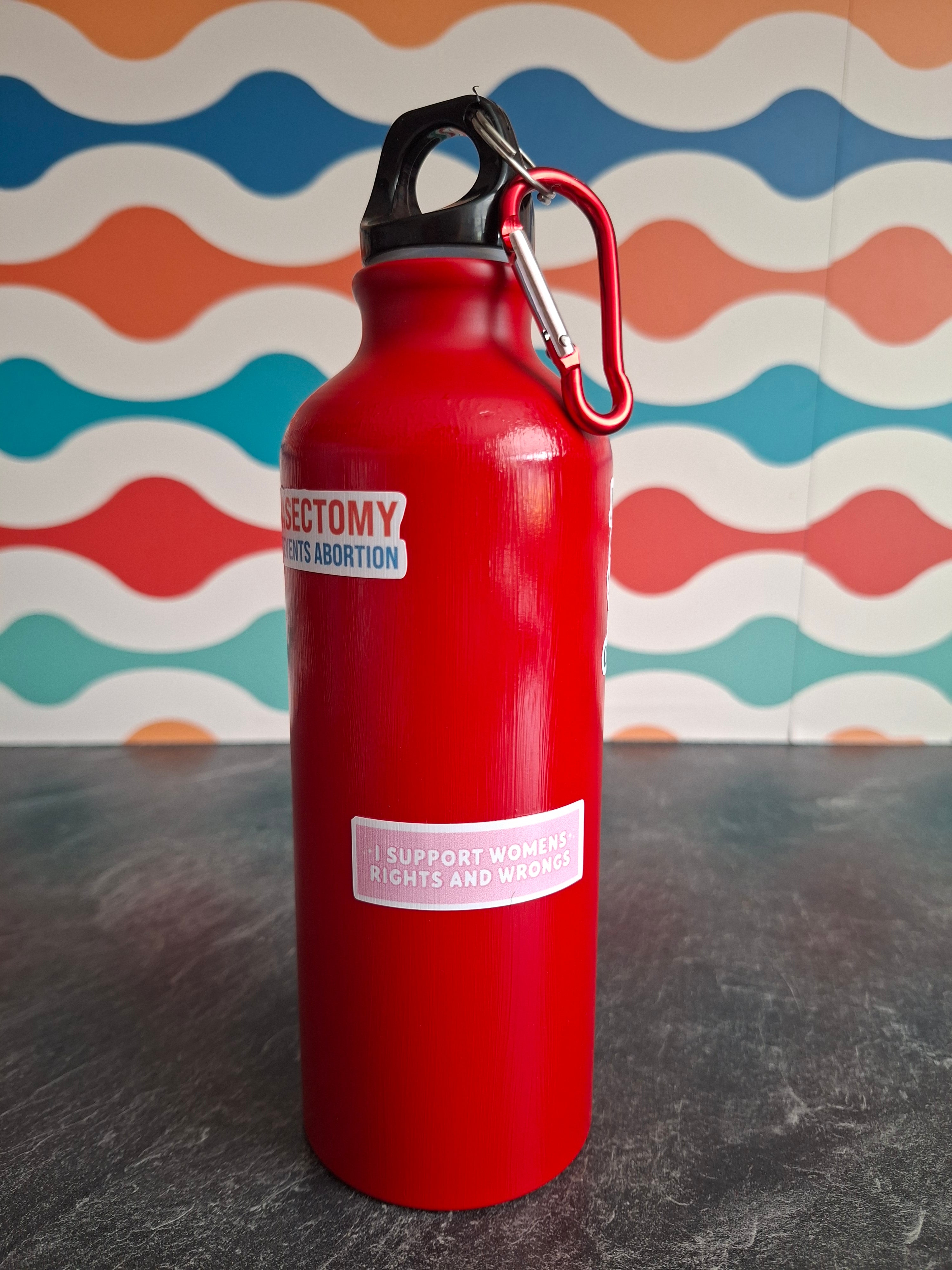 The 'Bold Rebel Women's Rights' water bottle  540ml