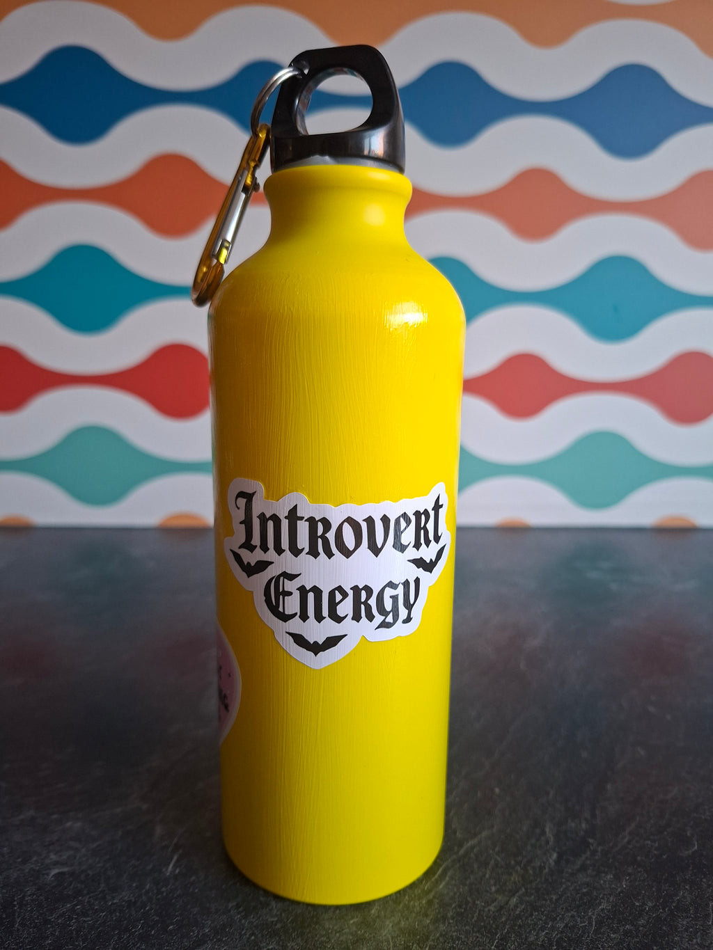 The "Millennial Emo Phase' water bottle 540ml