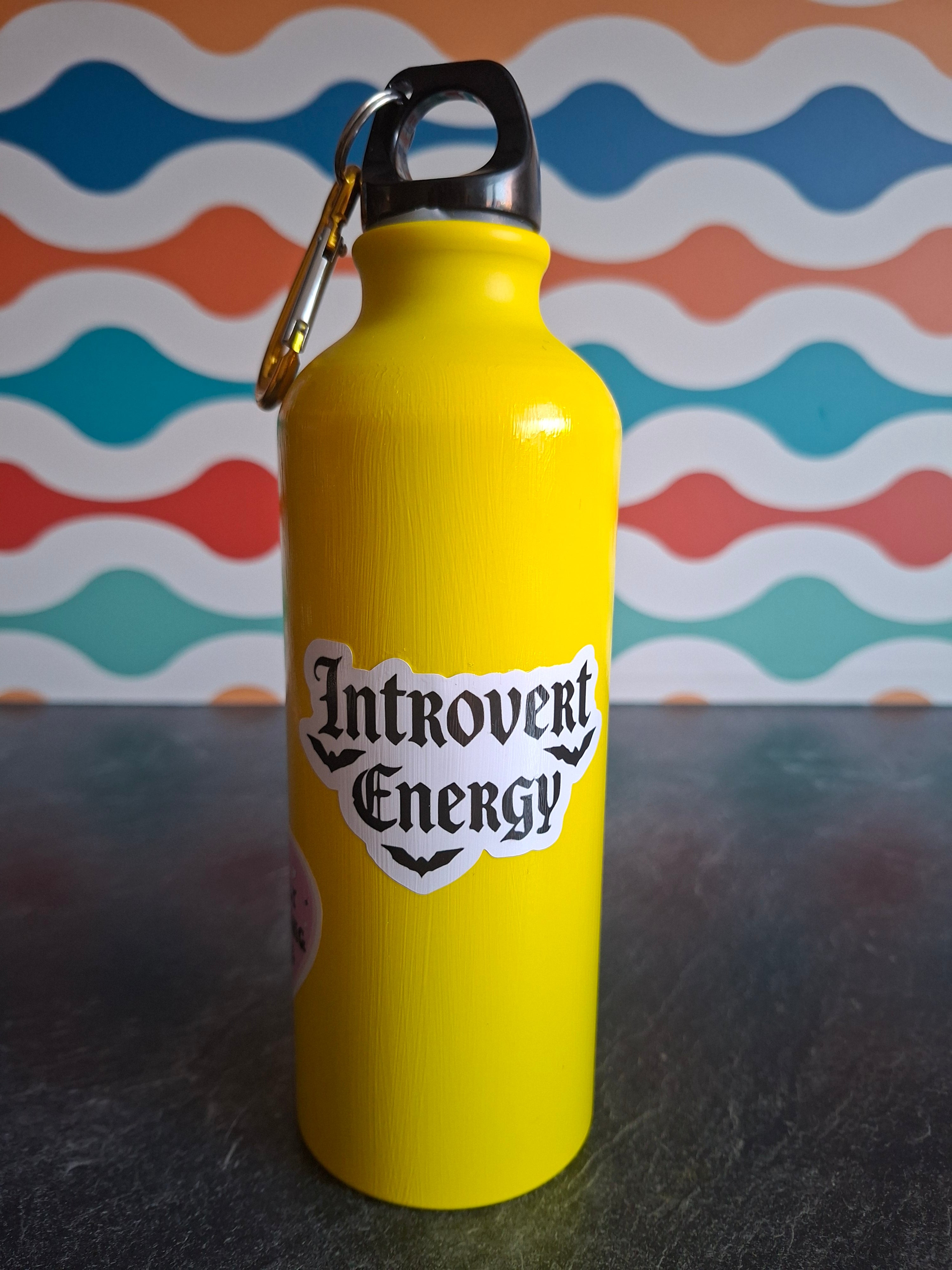 The "Millennial Emo Phase' water bottle 540ml
