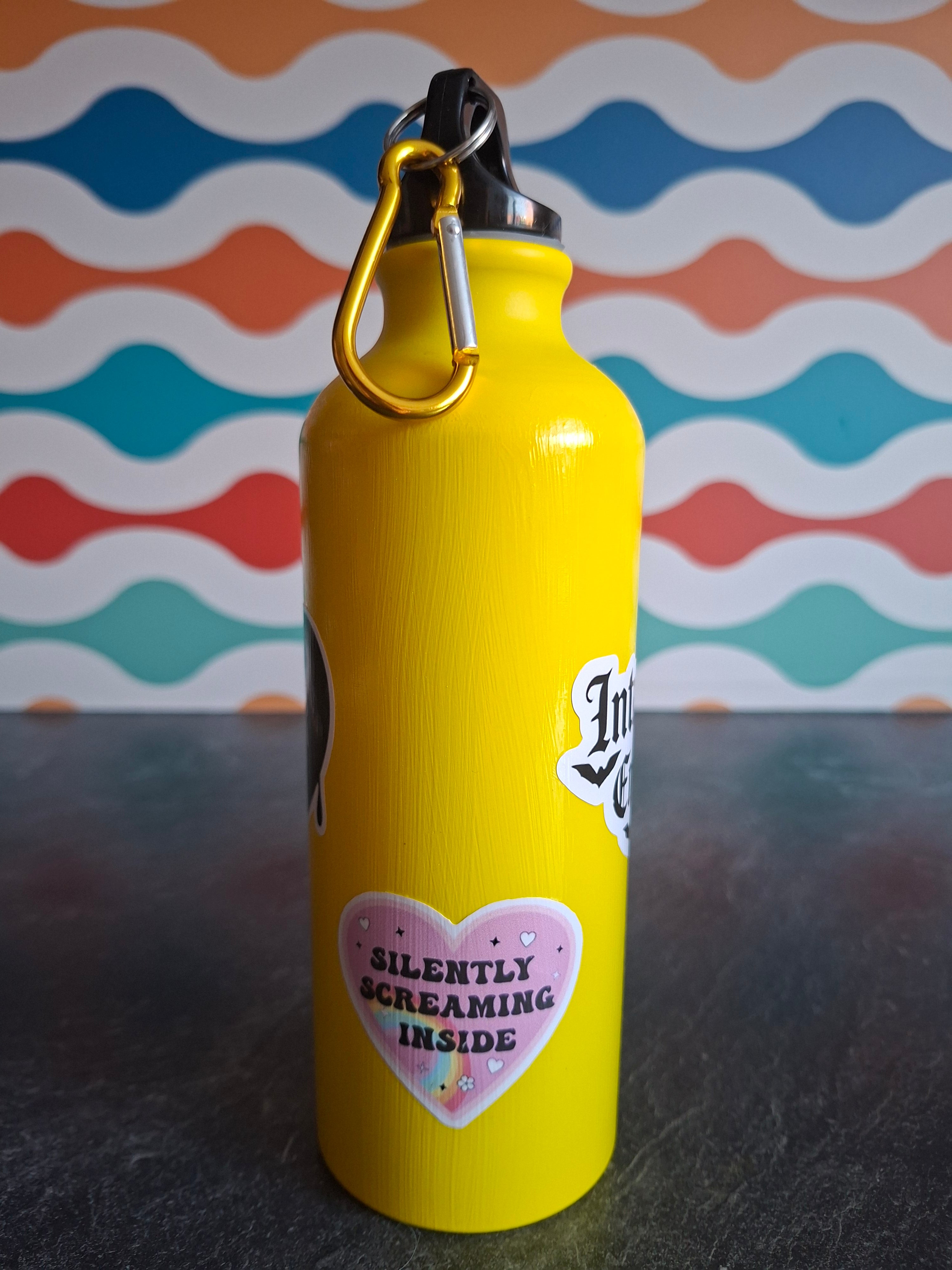The "Millennial Emo Phase' water bottle 540ml