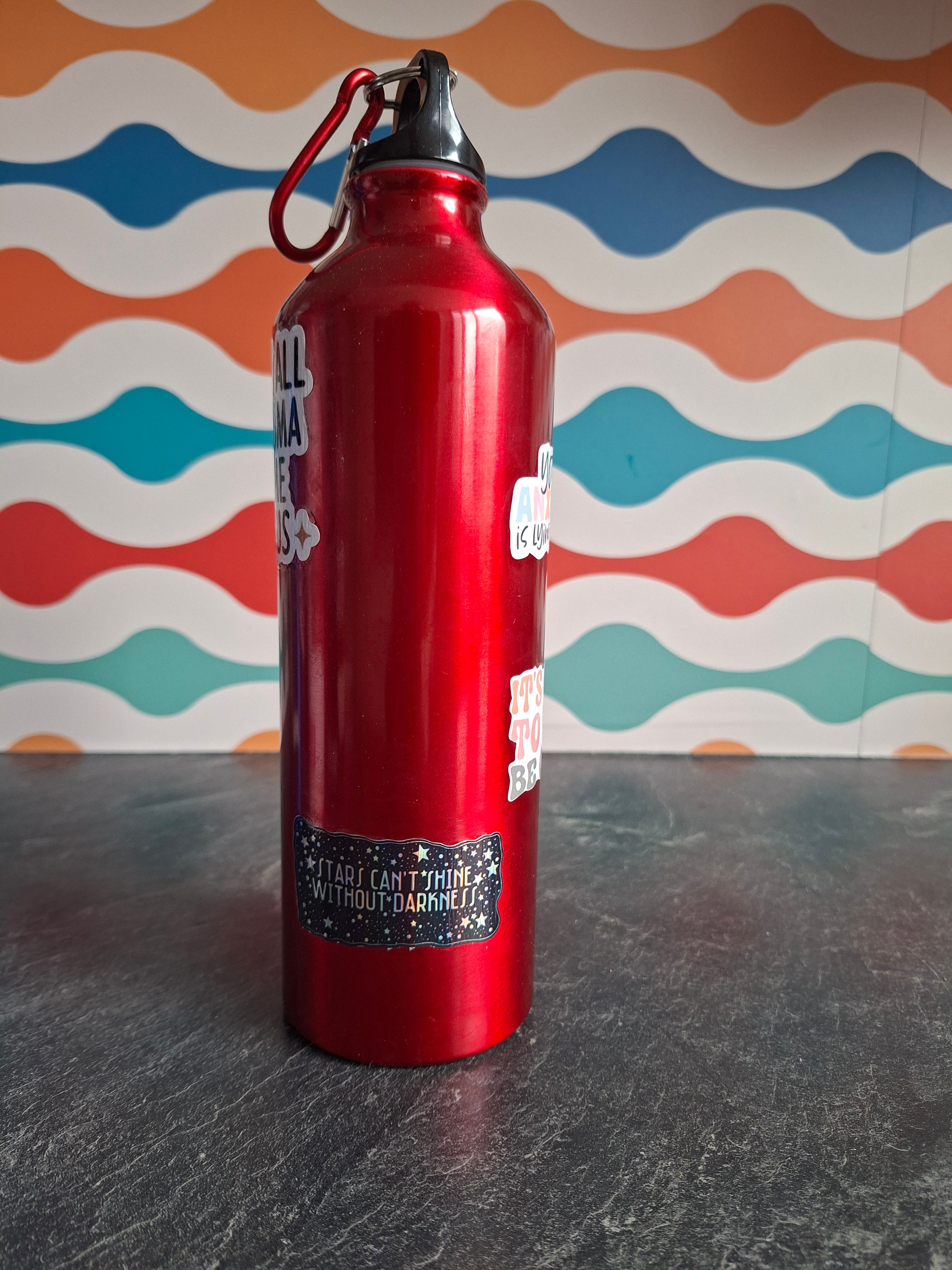 The "Expert Advice & Existential Dread" water bottle 800ml