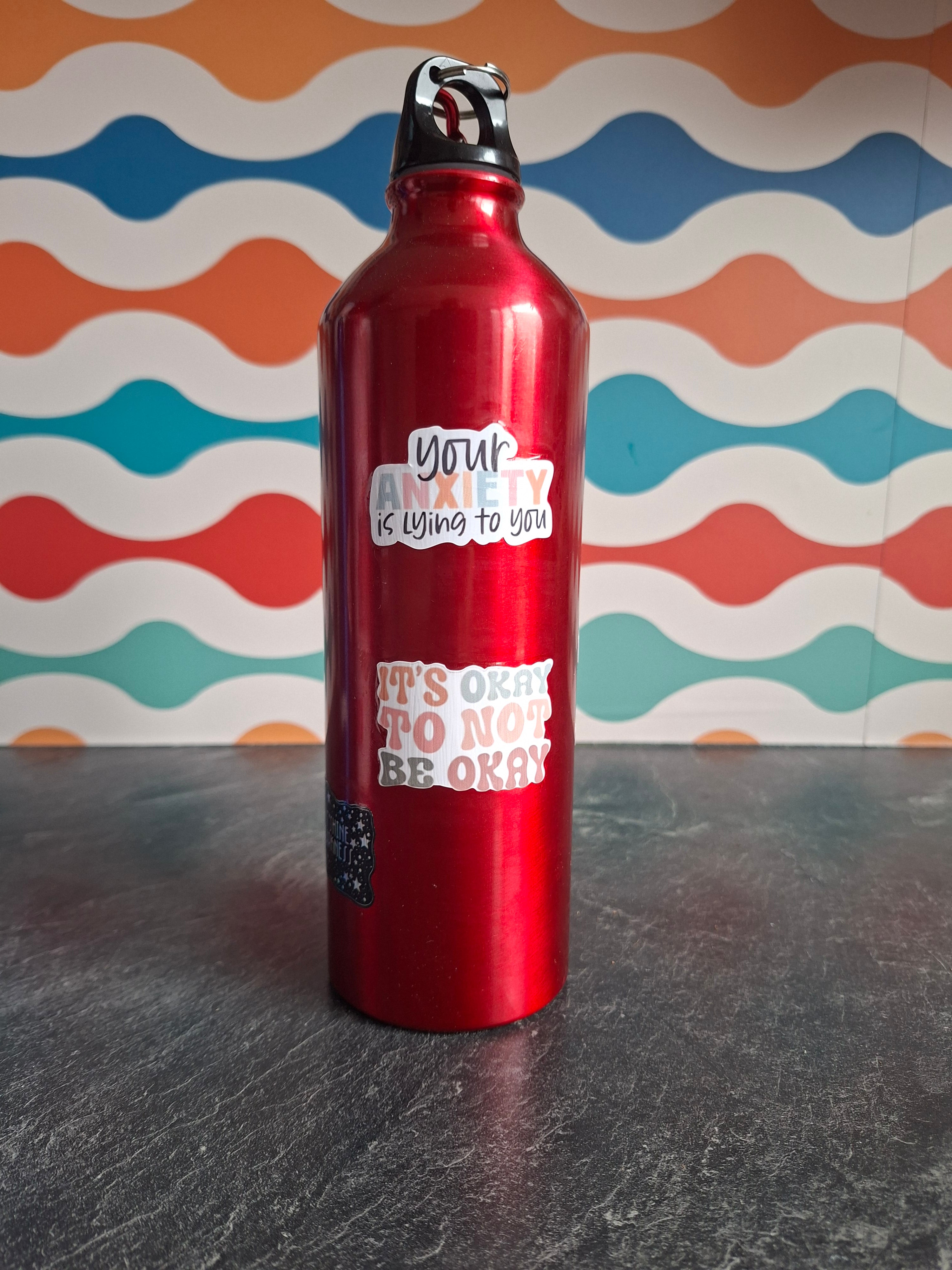 The "Expert Advice & Existential Dread" water bottle 800ml